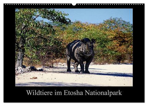 Wildtiere im Etosha Nationalpark (Wandkalender 2026 DIN A2 quer), CALVENDO Monatskalender