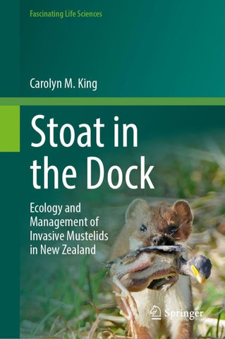 Stoat in the Dock