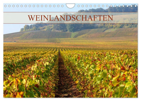 Weinlandschaften (Wandkalender 2026 DIN A4 quer), CALVENDO Monatskalender