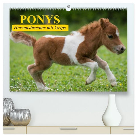 Ponys. Herzensbrecher mit Grips (hochwertiger Premium Wandkalender 2026 DIN A2 quer), Kunstdruck in Hochglanz