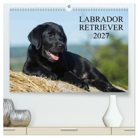 Labrador Retriever 2027 (hochwertiger Premium Wandkalender 2027 DIN A2 quer), Kunstdruck in Hochglanz