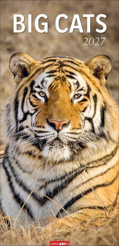 Big Cats Kalender 2027