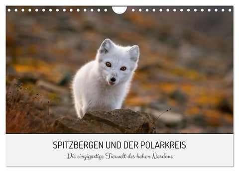 Spitzbergen und der Polarkreis (Wandkalender 2027 DIN A4 quer), CALVENDO Monatskalender
