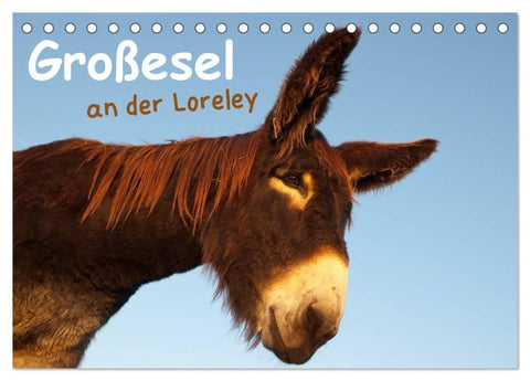 Großesel an der Loreley (Tischkalender 2026 DIN A5 quer), CALVENDO Monatskalender