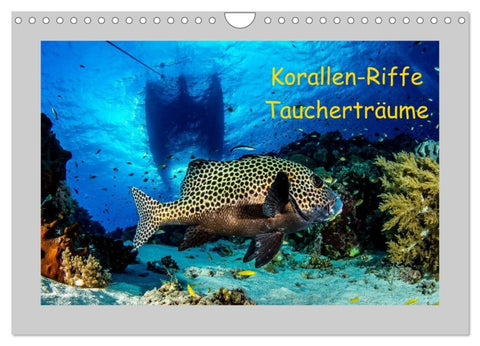 Korallen-Riffe Taucherträume (Wandkalender 2027 DIN A4 quer), CALVENDO Monatskalender