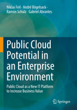 Public Cloud Potential in an Enterprise Environment