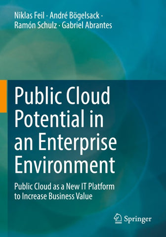 Public Cloud Potential in an Enterprise Environment