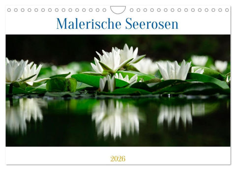 Malerische Seerosen (Wandkalender 2026 DIN A4 quer), CALVENDO Monatskalender
