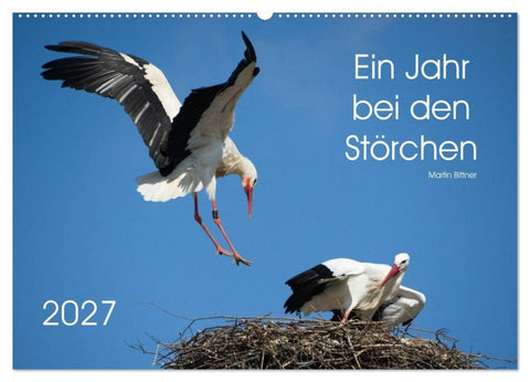 Ein Jahr bei den Störchen (Wandkalender 2027 DIN A2 quer), CALVENDO Monatskalender