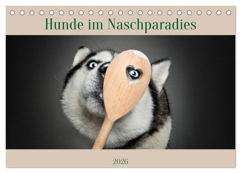 Hunde im Naschparadies (Tischkalender 2026 DIN A5 quer), CALVENDO Monatskalender