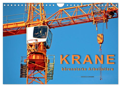 Krane - bärenstarke Arbeitstiere (Wandkalender 2026 DIN A4 quer), CALVENDO Monatskalender