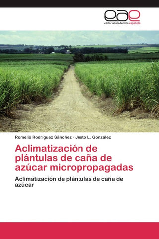 Aclimatización de plántulas de caña de azúcar micropropagadas