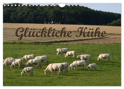 Glückliche Kühe (Wandkalender 2026 DIN A4 quer), CALVENDO Monatskalender