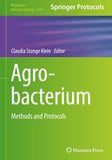 Agrobacterium