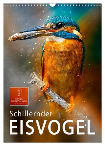 Schillernder Eisvogel (Wandkalender 2027 DIN A3 hoch), CALVENDO Monatskalender