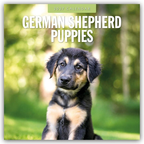 German Shepherd Puppies – Deutsche Schäferhunde Welpen 2027 – 16-Monatskalender