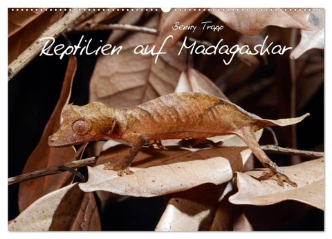 Reptilien auf Madagaskar (Wandkalender 2027 DIN A2 quer), CALVENDO Monatskalender