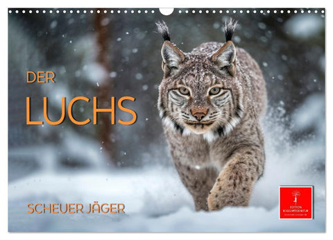 Der Luchs - scheuer Jäger (Wandkalender 2027 DIN A3 quer), CALVENDO Monatskalender