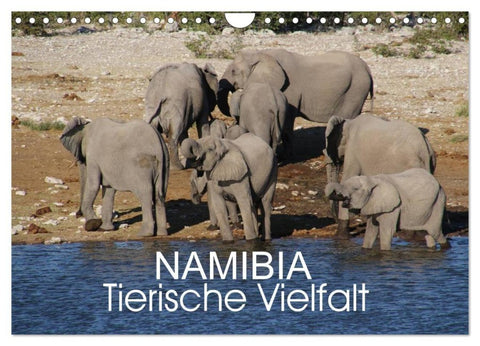 Namibia - Tierische Vielfalt (Wandkalender 2027 DIN A4 quer), CALVENDO Monatskalender