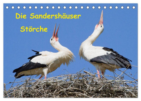 Die Sandershäuser Störche (Tischkalender 2027 DIN A5 quer), CALVENDO Monatskalender