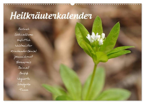 Heilkräuterkalender (Wandkalender 2027 DIN A2 quer), CALVENDO Monatskalender