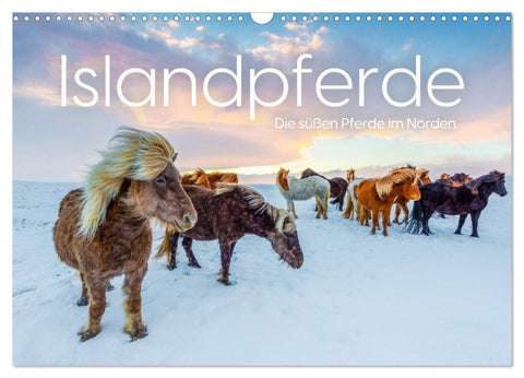 Islandpferde - Die süßen Pferde im Norden. (Wandkalender 2027 DIN A3 quer), CALVENDO Monatskalender
