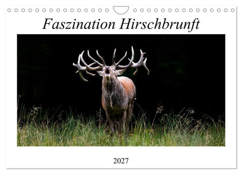 Faszination Hirschbrunft (Wandkalender 2027 DIN A4 quer), CALVENDO Monatskalender