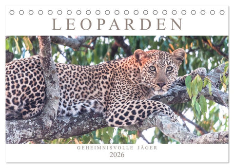 Leoparden - Geheimnisvolle Jäger (Tischkalender 2026 DIN A5 quer), CALVENDO Monatskalender