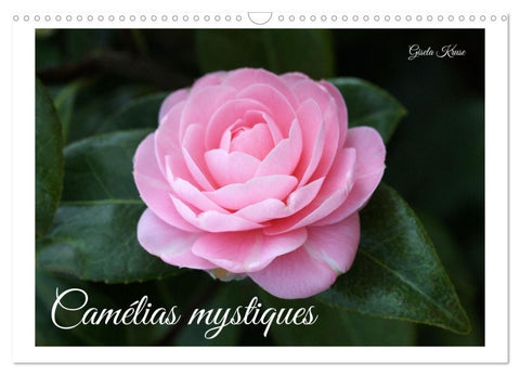 Camélias mystiques (Calendrier mural 2027 DIN A3 vertical), CALVENDO calendrier mensuel
