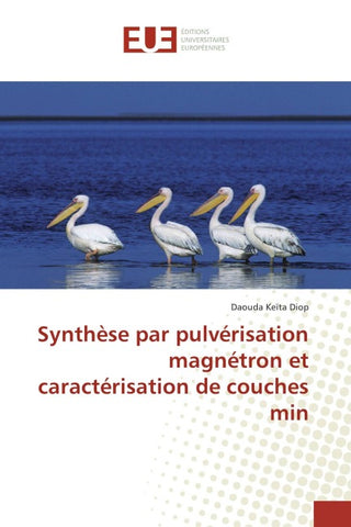Synthèse par pulvérisation magnétron et caractérisation de couches min