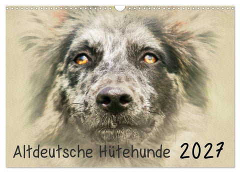 Altdeutsche Hütehunde 2027 (Wandkalender 2027 DIN A3 quer), CALVENDO Monatskalender