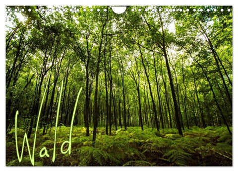 Wald (Wandkalender 2027 DIN A4 quer), CALVENDO Monatskalender