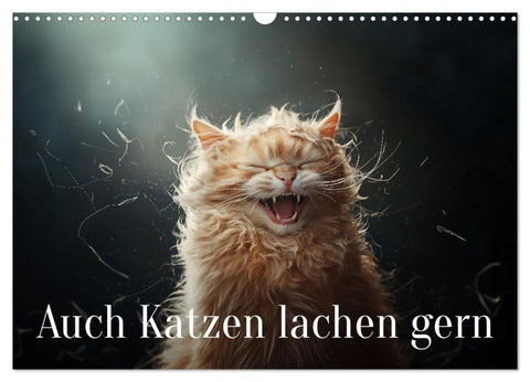 Auch Katzen lachen gern (Wandkalender 2027 DIN A3 quer), CALVENDO Monatskalender