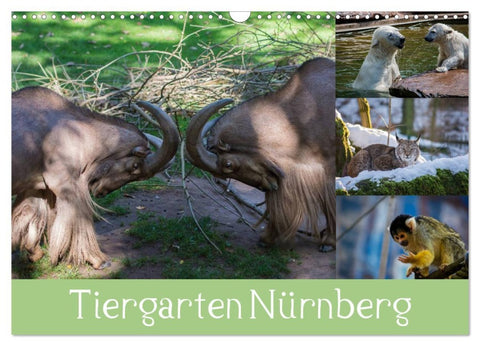 Tiergarten Nürnberg (Wandkalender 2026 DIN A3 quer), CALVENDO Monatskalender