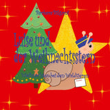 Luise und der Weihnachtsstern