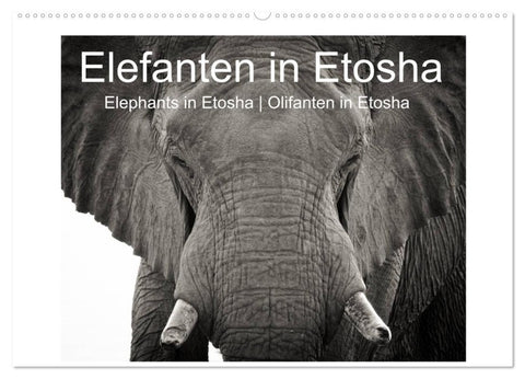 Elefanten in Etosha (Wandkalender 2026 DIN A2 quer), CALVENDO Monatskalender