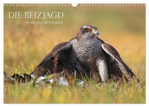 Die Beizjagd (Wandkalender 2026 DIN A3 quer), CALVENDO Monatskalender