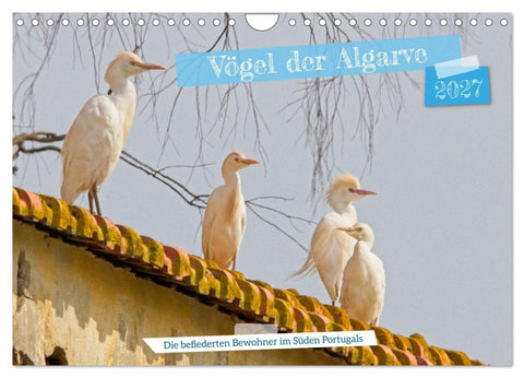 Vögel der Algarve (Wandkalender 2027 DIN A4 quer), CALVENDO Monatskalender