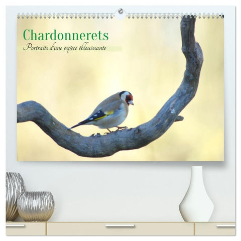 Chardonnerets - Portraits d'une espèce éblouissante  (Calendrier mural 2026 DIN A2 vertical) calendrier de bureau
