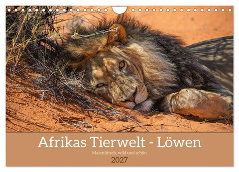 Afrikas Tierwelt - Löwen (Wandkalender 2027 DIN A4 quer), CALVENDO Monatskalender