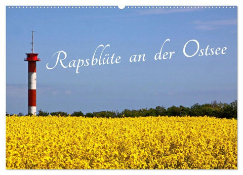 Rapsblüte an der Ostsee (Wandkalender 2027 DIN A2 quer), CALVENDO Monatskalender