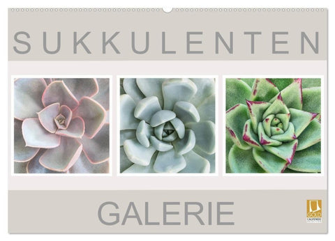 Sukkulenten Galerie (Wandkalender 2027 DIN A2 quer), CALVENDO Monatskalender