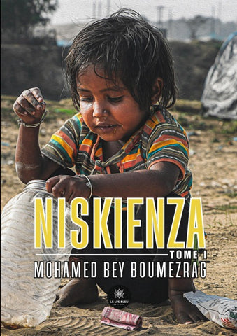 Niskienza