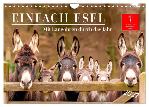 Einfach Esel - Mit Langohren durch das Jahr (Wandkalender 2027 DIN A4 quer), CALVENDO Monatskalender