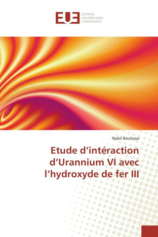 Etude d'intéraction d'Urannium VI avec l'hydroxyde de fer III