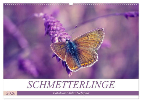 Schmetterlinge im Fokus (Wandkalender 2026 DIN A2 quer), CALVENDO Monatskalender