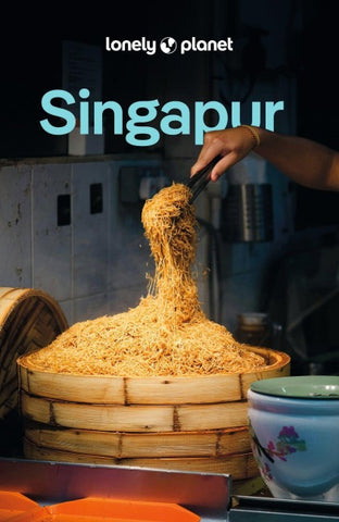 LONELY PLANET Reiseführer Singapur