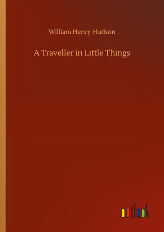 A Traveller in Little Things