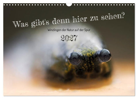 Was gibt's denn hier zu sehen? (Wandkalender 2027 DIN A3 quer), CALVENDO Monatskalender