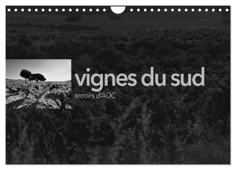 VIGNES DU SUD terroirs d'AOC (Calendrier mural 2027 DIN A4 vertical), CALVENDO calendrier mensuel